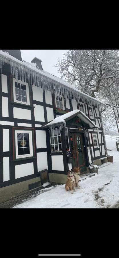 Berghof Schmitte Konuk evi Winterberg Dış mekan fotoğraf