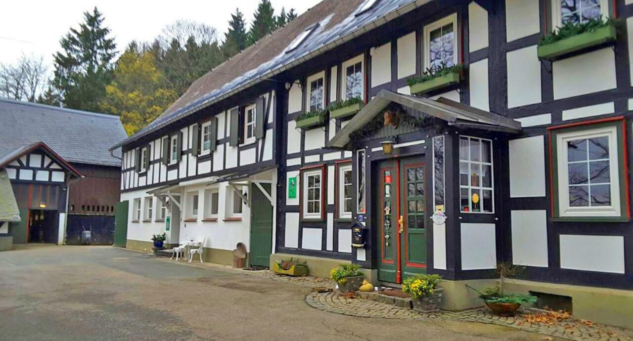 Berghof Schmitte Konuk evi Winterberg Dış mekan fotoğraf