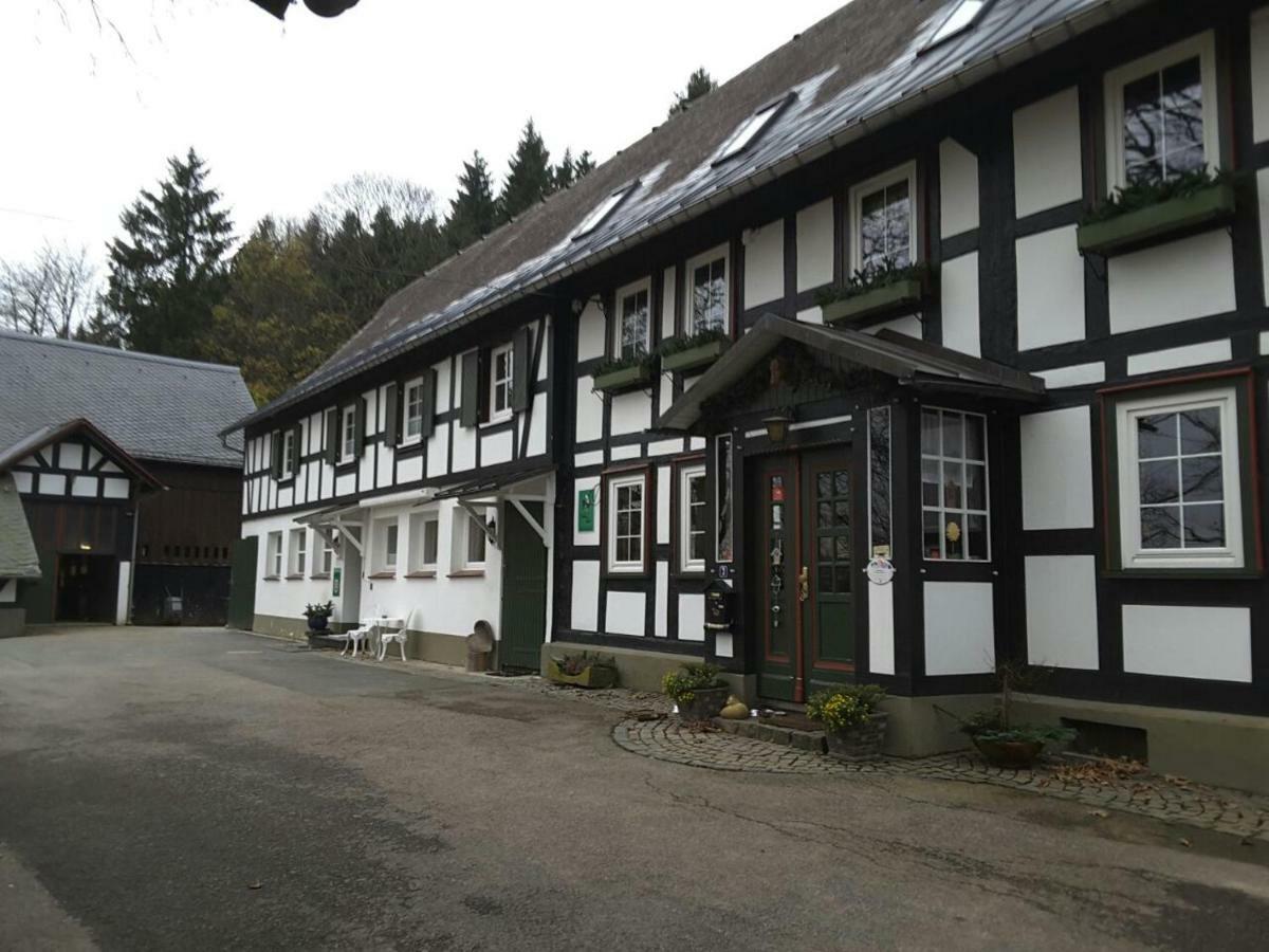 Berghof Schmitte Konuk evi Winterberg Dış mekan fotoğraf